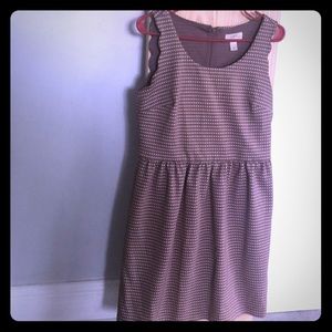 Champagne Loft Dress 8P